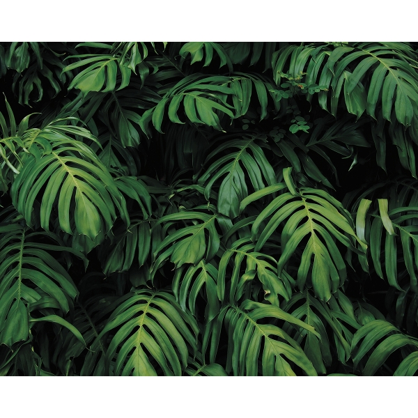 Picture of Forest Plant Wall Mural