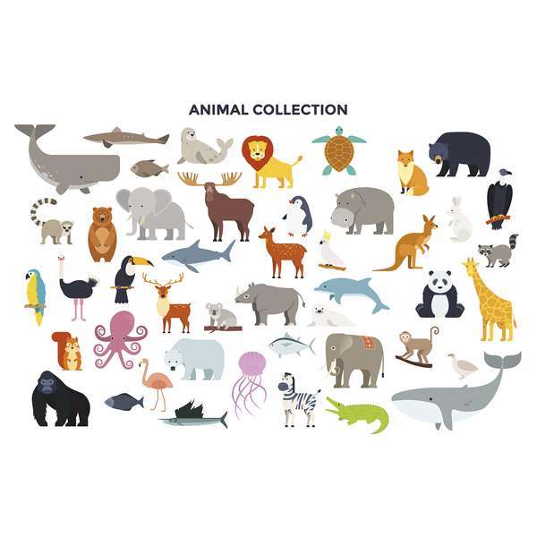 WALS0452 - Animal Collection Wall Mural - by OhPopsi
