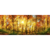 Picture of Sunny Forest Wall Mural