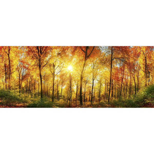 Picture of Sunny Forest Wall Mural