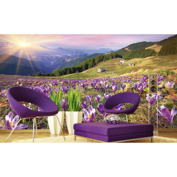Show details for Crocuses at Spring Wall Mural