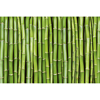 Picture of Bamboo Wall Mural