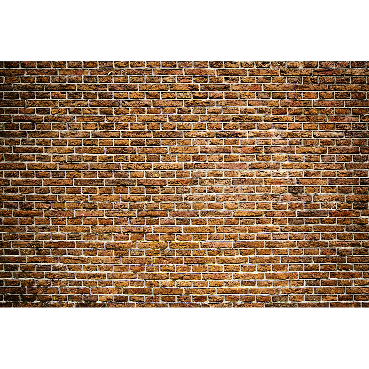 MS-5-0167 - Old Brick Wall Mural - by Dimex