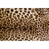 Picture of Leopard Skin Wall Mural