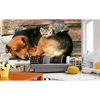 Picture of Cat and Dog Wall Mural