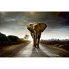 Picture of Walking Elephant Wall Mural