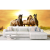 Picture of Horses in Sunset Wall Mural