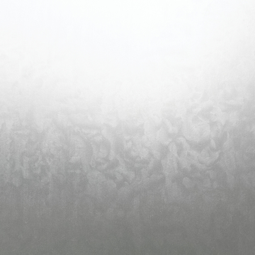Show details for Ice Flowers Window Film