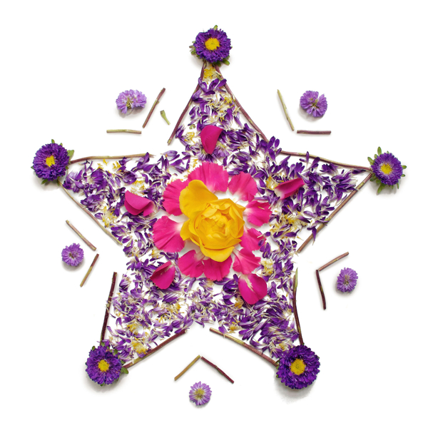 Picture of Blooming Star Wall Art Kit