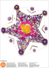 Picture of Blooming Star Wall Art Kit