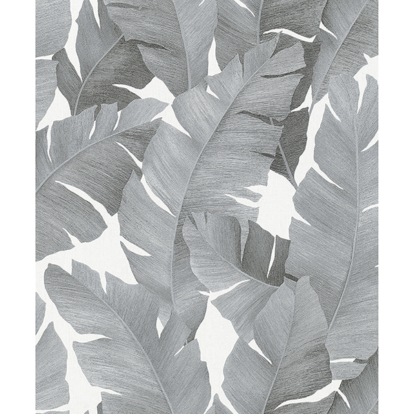 Grey And White Palm Leaf Wallpaper | Leafandtrees.org