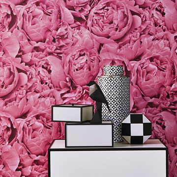Show details for Rosenfield Pink Floral Wallpaper