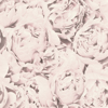 Picture of Rosenfield Light Pink Floral Wallpaper