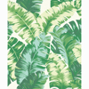 Picture of Pisang Green Palm Leaf Wallpaper