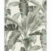 Picture of Orissa Sage Palm Frond Wallpaper