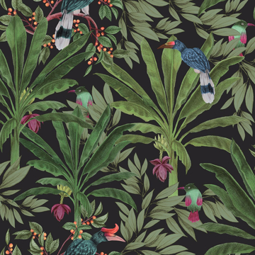 Picture of Carola Black Jungle Tropics Wallpaper