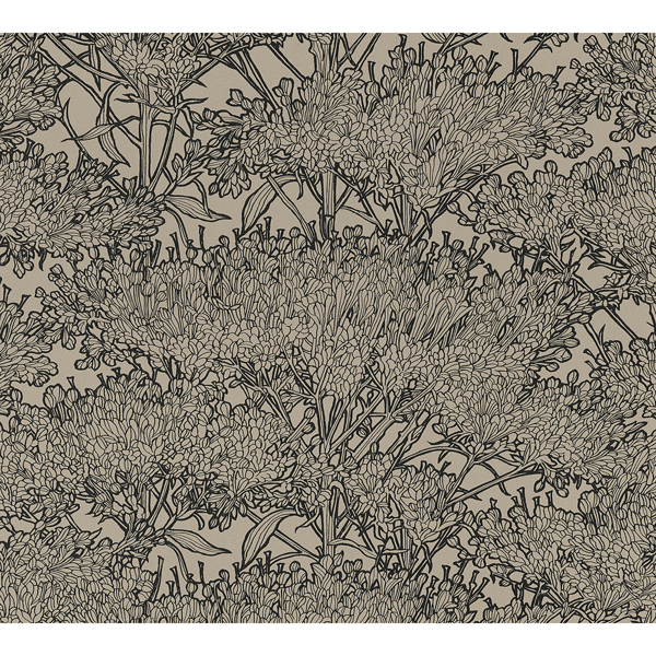 Picture of Hornbeam Brown Tree Wallpaper