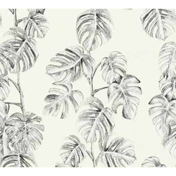 Picture of Ayutla Black Tropical Frond Wallpaper