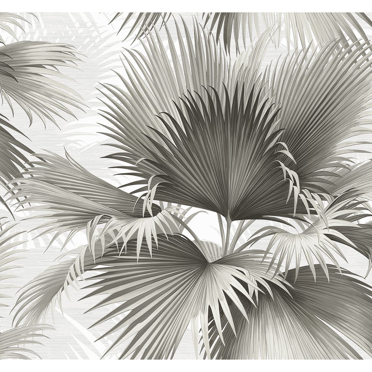 2927-40100 - Summer Palm Charcoal Tropical Wallpaper - by A-Street Prints