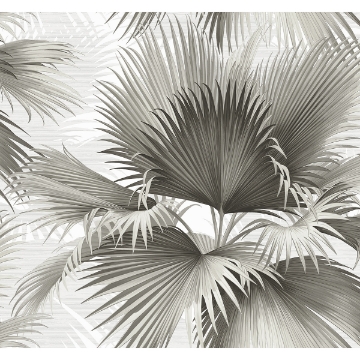 Picture of Summer Palm Charcoal Tropical Wallpaper