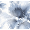 Picture of Summer Palm Blue Tropical Wallpaper