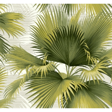 Picture of Summer Palm Green Tropical Wallpaper