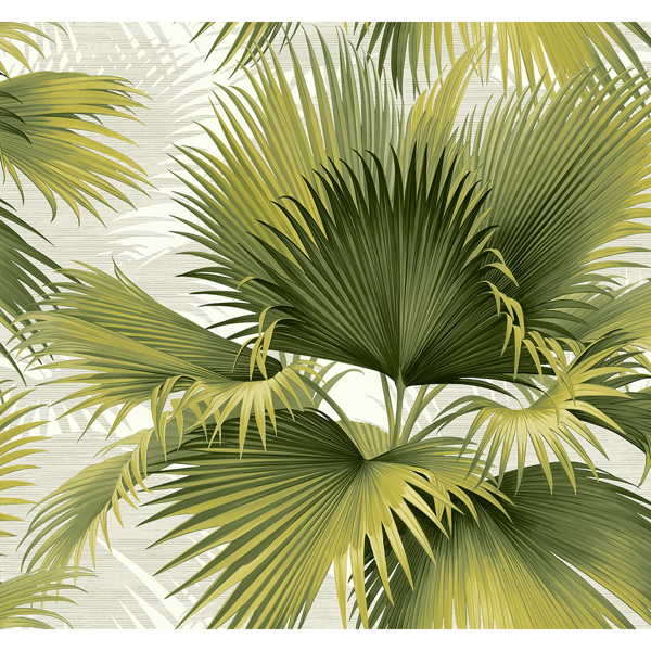 Picture of Summer Palm Green Tropical Wallpaper