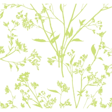Picture of Southport Chartreuse Delicate Branches Wallpaper