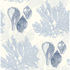Picture of Nauset Blue Seashell Shores Wallpaper