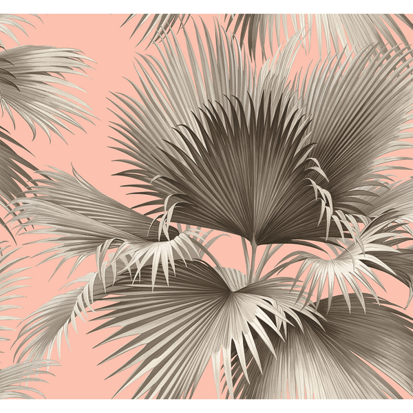 Picture of Summer Palm Blush Tropical Wallpaper