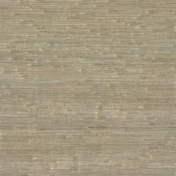 Show details for Iriga Gold Grasscloth Wallpaper