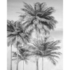 Picture of Overcast Palm Wall Mural