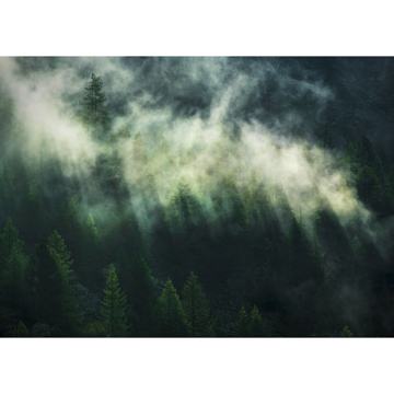 Show details for Misty Crowns Wall Mural