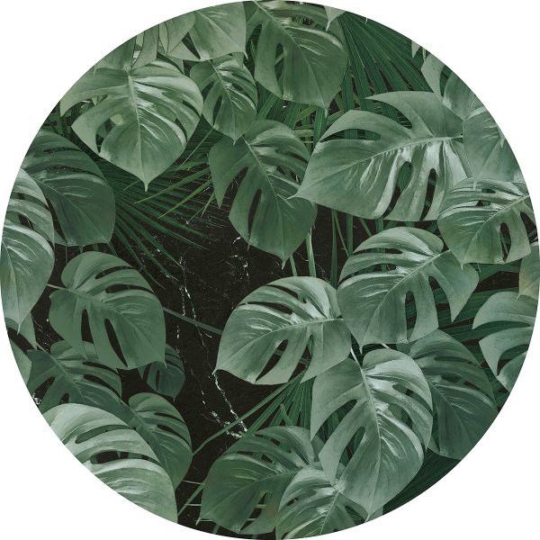 Picture of Novel Monstera Non Woven Dot Decal
