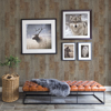 Picture of Chebacco Brown Wooden Planks Wallpaper