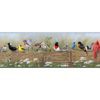 Picture of Flock Multicolor Menagerie Border