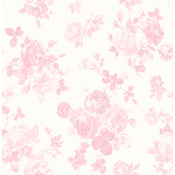 Picture of Everblooming Rosettes Pink Cabbage Rose Bouquets Wallpaper