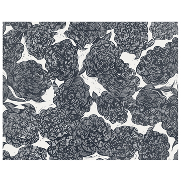 Show details for Roses Black Wall Mural by Karen J. Revis