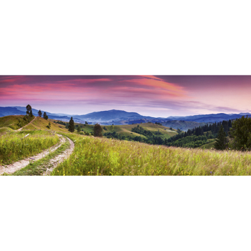Show details for Blooming Hills Wall Mural