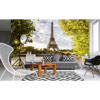 Picture of Seine In Paris Wall Mural