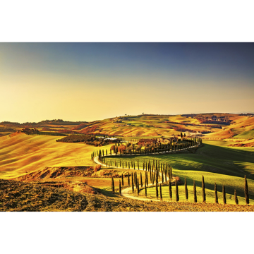 Show details for Tuscany Wall Mural