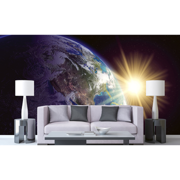 Show details for Earth Wall Mural