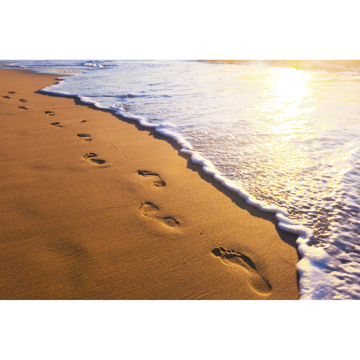 Show details for Footsteps Wall Mural