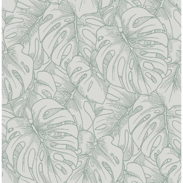 Picture of Sage Borneo Peel and Stick Wallpaper