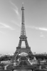 Picture of La Tour Eiffel Wall Mural