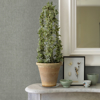 Picture of Donmei Grey Linen Wallpaper