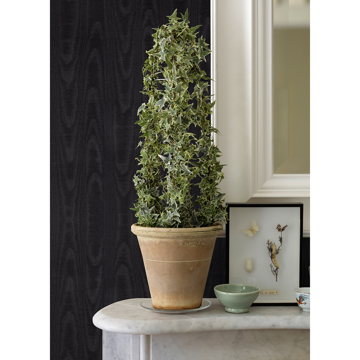 Show details for Angelina Black Moire Wallpaper