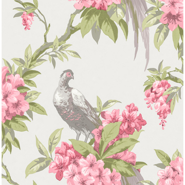 Picture of Golden Pheasant Rose Floral Wallpaper