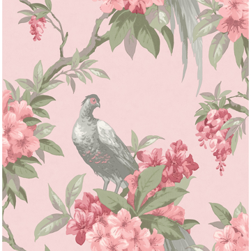 Picture of Golden Pheasant Pink Floral Wallpaper