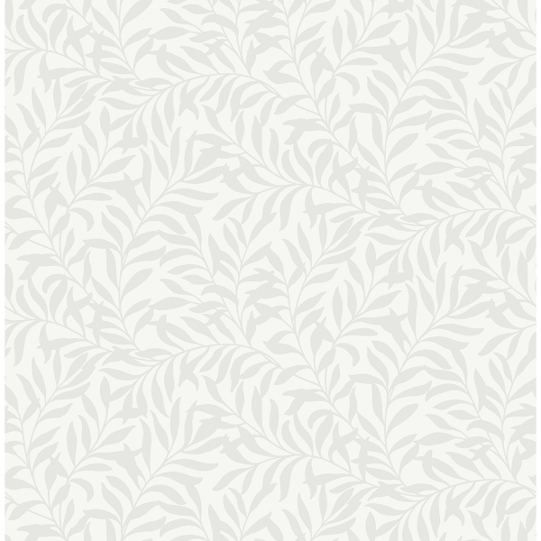 Picture of Salix Silver Leaf Wallpaper